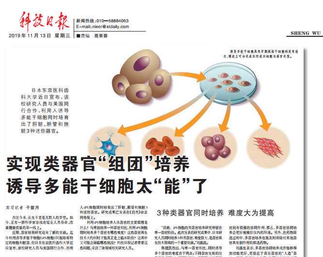 医药投向标|英伟达入场AI制药 百济神州/诺华终止TIGIT单抗合作 科伦博泰港交所挂牌上市