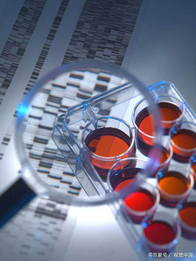 被忽视已久的渤海，究竟有多美？