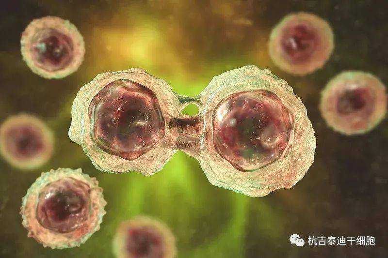 迫切期望干细胞外泌体原料能进入中国化妆品原料目录