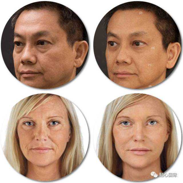 日本文化中，菊与刀的两面性是如何形成的？自然环境与华夏影响