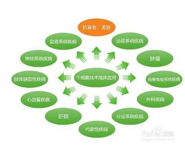 脑科学日报：FDA批准十年来首款非兴奋剂多动症疗法