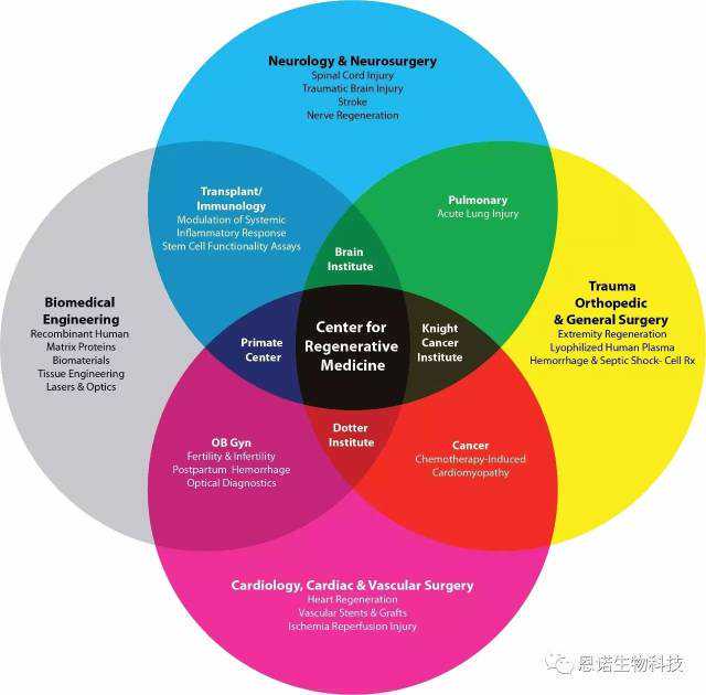 科学课、游园会……丰富的活动欢度儿童节