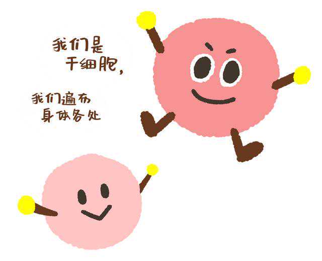 科普丨我们日常容易接触到的危险化学品有哪些？