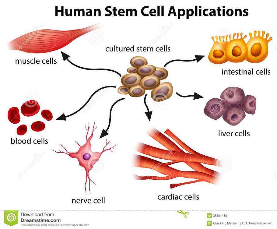 兰亭科技31周年庆典年会成功举办 “永热爱 敢向前”
