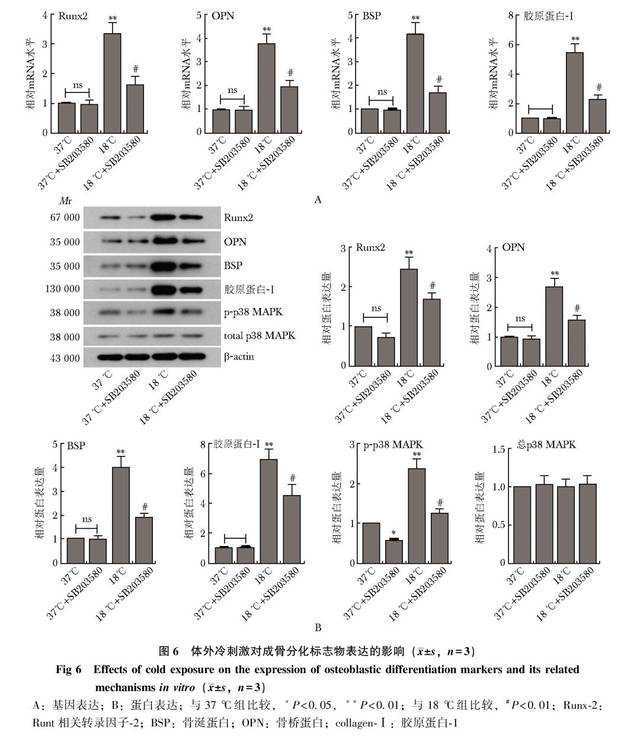 野外“放风”时，要警惕这三种虫！