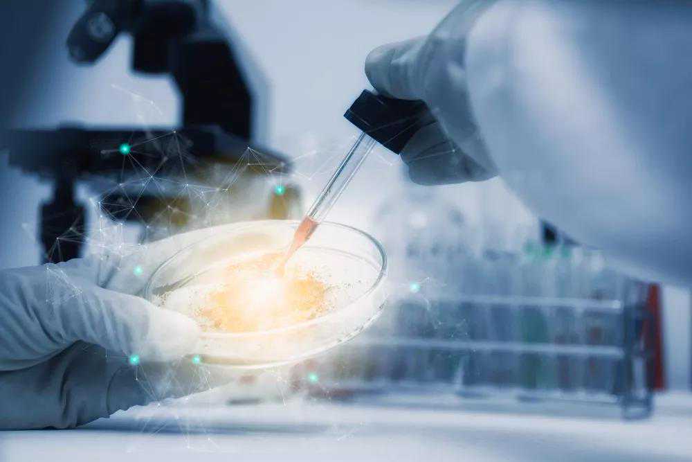 单倍型相合移植与全合移植的比较与完善