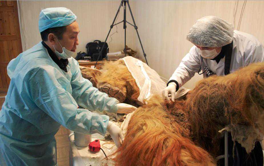 孩子刚出生4个月青岛媳妇患“再障” 哥哥助重生