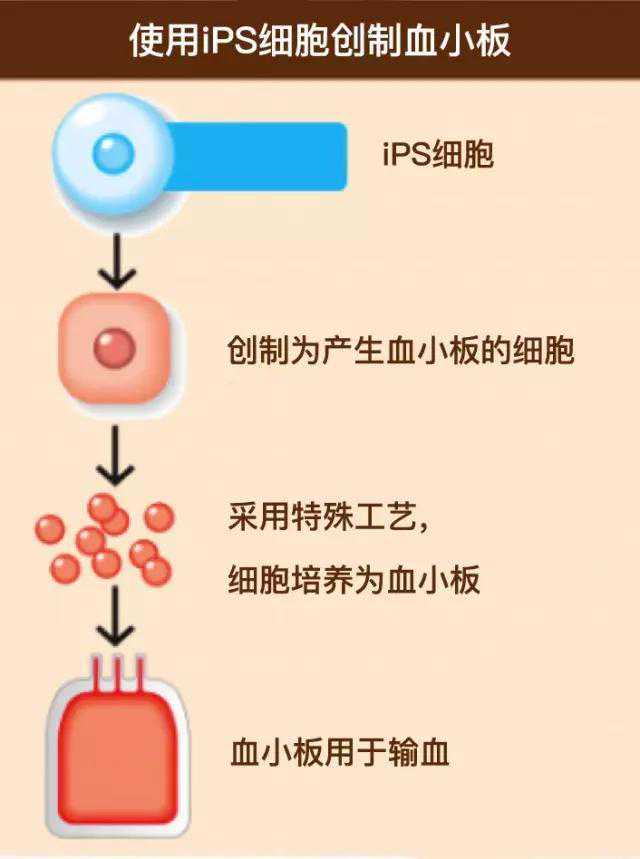 FGFR4小分子抑制剂研究概述