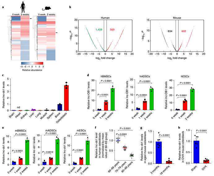 5款保湿面霜全测评！助长胶原蛋白，哇！再不怕秋冬皮肤干燥啦